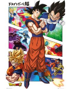 Dragonball Z Super Panels - Game On