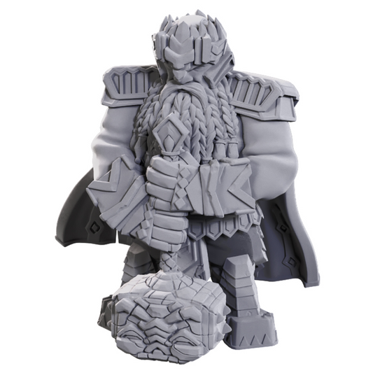 Dwarf Champion High Level Male - Character - Game On