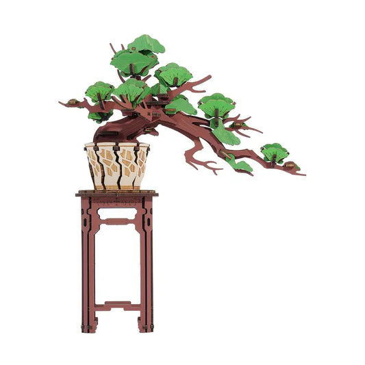 Evergreen Pine Bonsai - Game On