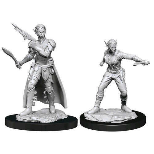 Shifter Rogue - Character - Game On