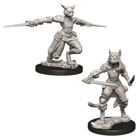 Tabaxi Rogue Female - Character - Game On