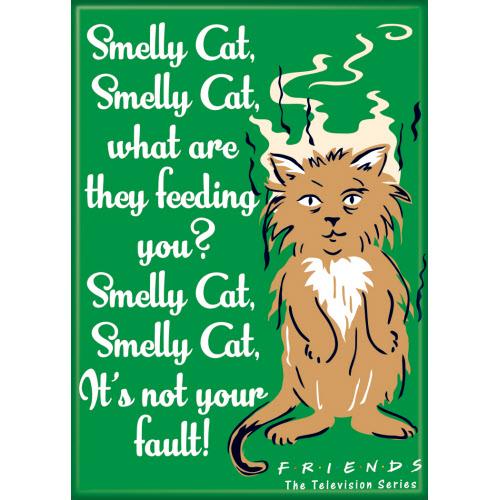 Friends Smelly Cat Magnet - Game On