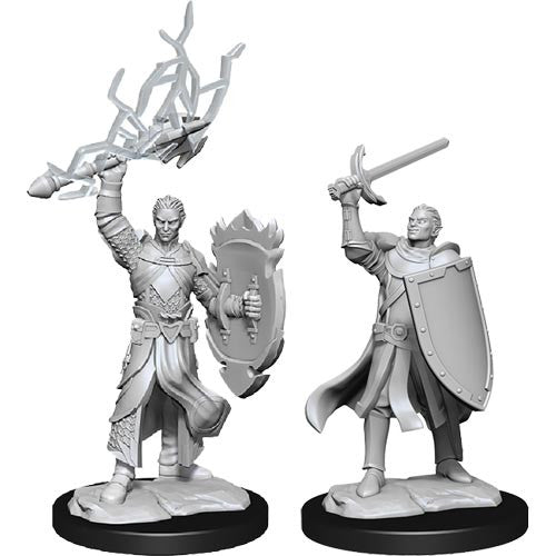 Half Elf Paladin Male - Character - Game On
