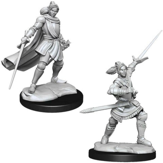 Half Elf Xhorhas Paladin - Critical Role - Game On
