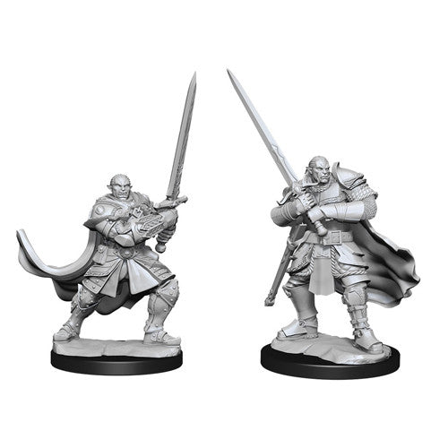 Half Orc Paladin Male - Character - Game On