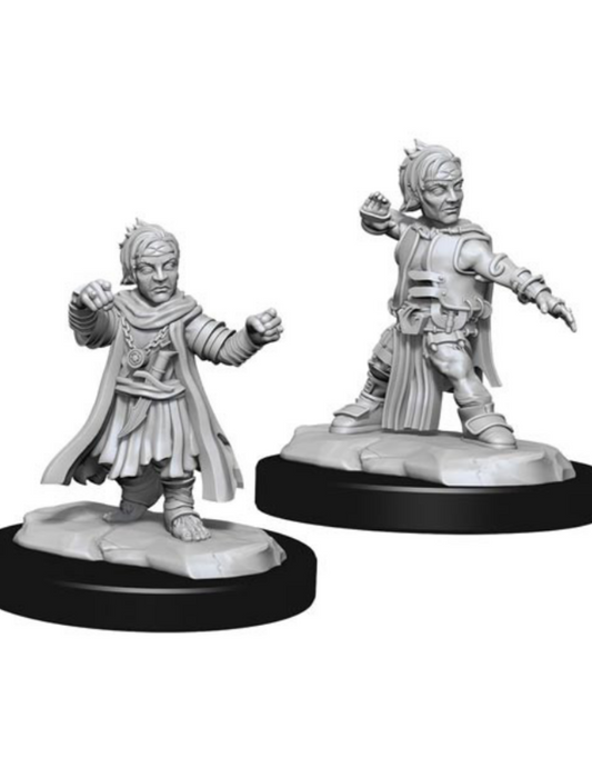 Halfling Monk Male - Character - Game On