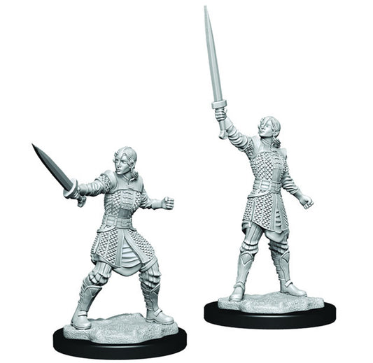 Human Dwendalian Empire Fighter - Critical Role - Game On