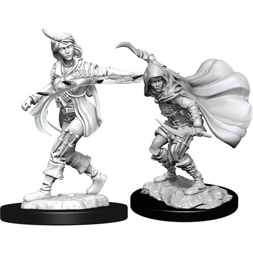Human Rogue Female - Character - Game On