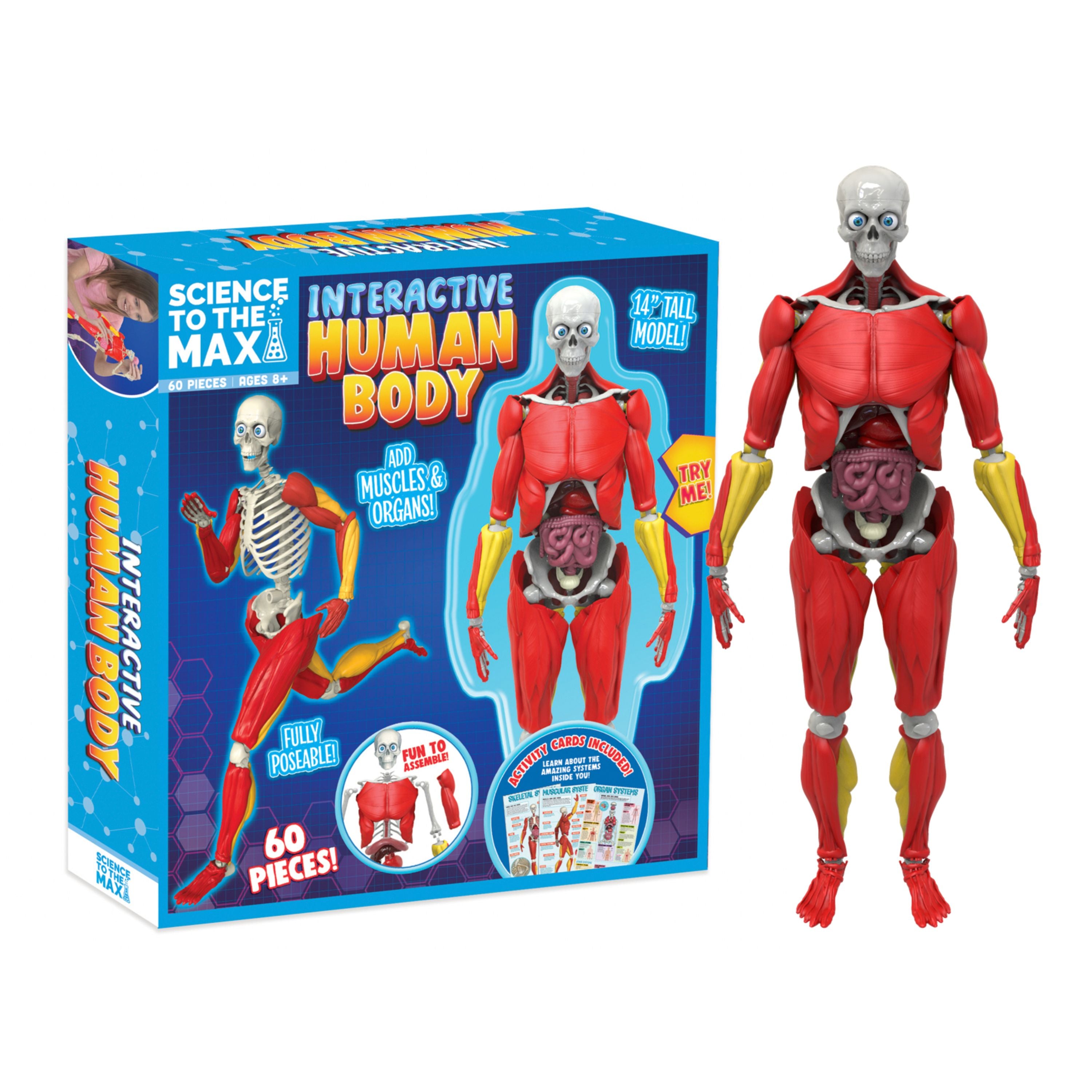 Interactive Human Body – Game On