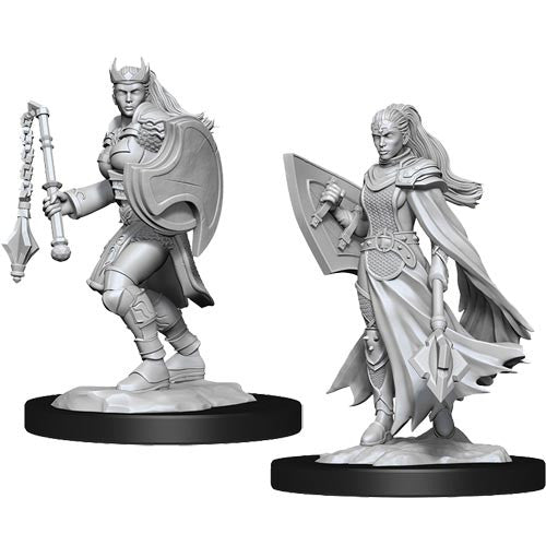 Kalashtar Cleric Female - Character - Game On