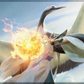 Kykar Wind's Fury Playmat - Game On