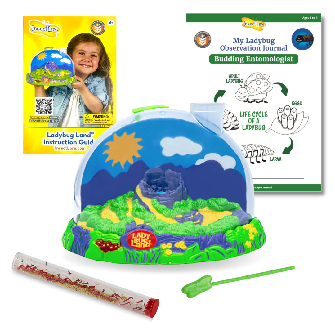 Ladybug Land with voucher - Game On