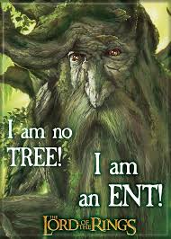 Lord of the Rings I am no Tree I an Ent! Magnet - Game On