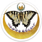 Lunar Butterfly Sticker - Game On