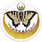 Lunar Butterfly Sticker - Game On