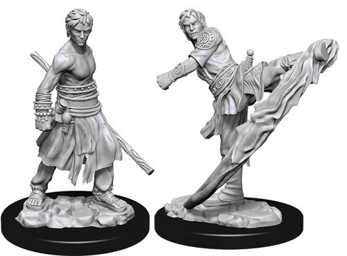 Half Elf Monk Male - Character - Game On