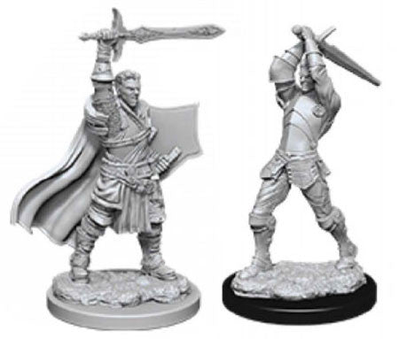 Human Paladin Male - Character - Game On