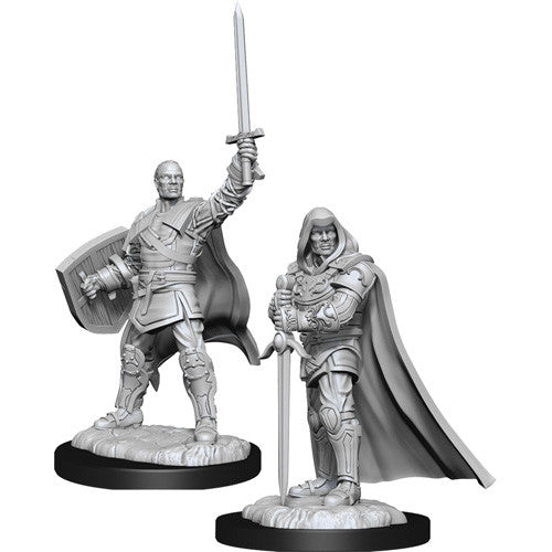 Human Paladin Male - Character - Game On