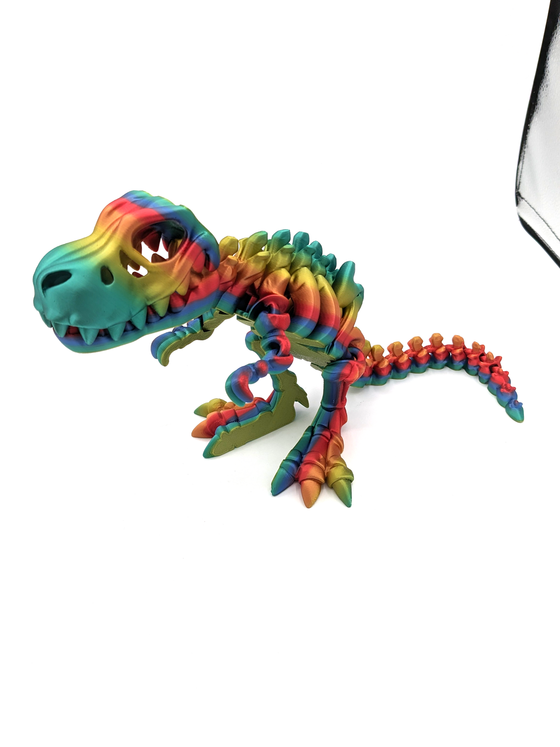 Medium Trex Skeleton - Game On