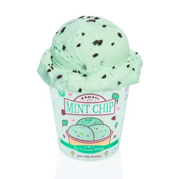 Mint Chip Scented Ice Cream Pint Slime - Game On