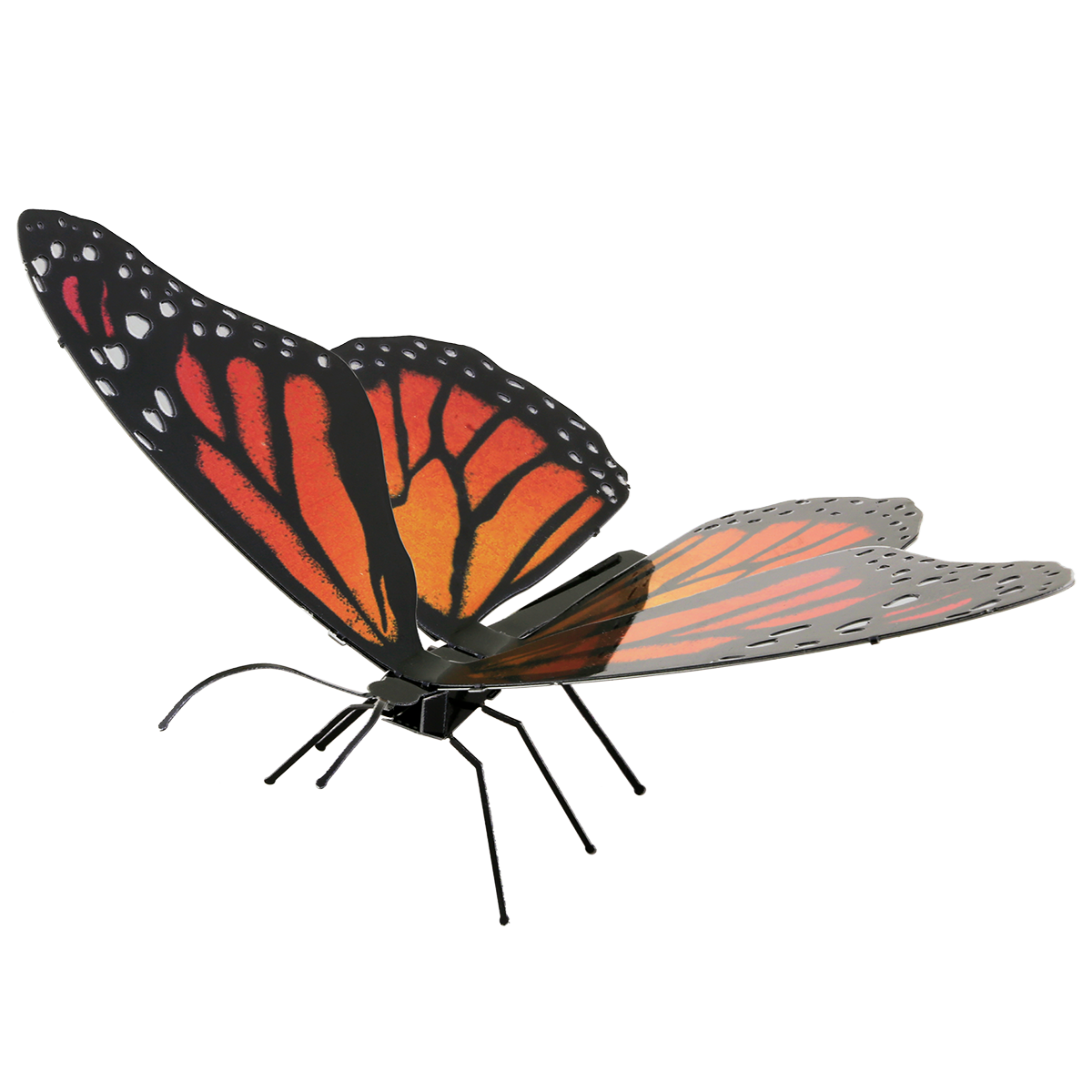 Monarch-Butterfly - COLOR - Game On
