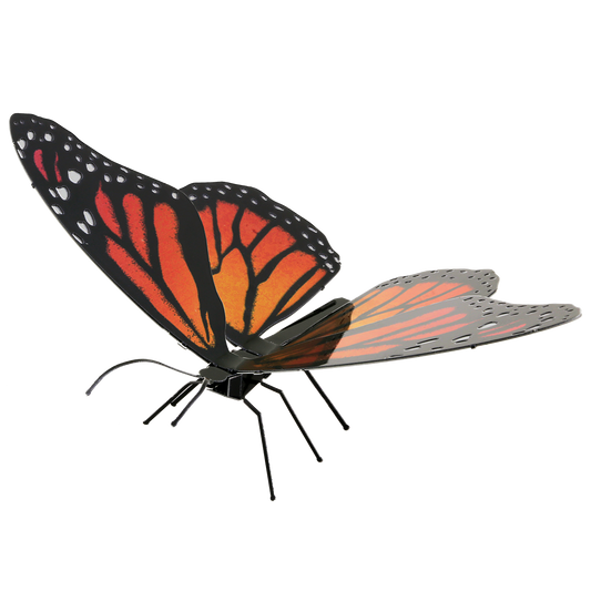 Monarch-Butterfly - COLOR - Game On
