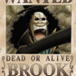 One Piece Wanted - SK Brook - Game On