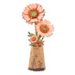 Orange Gerbera Daisy - Game On