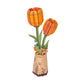 Orange Tulip - Game On