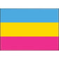 Pansexual Flag Magnet - Game On