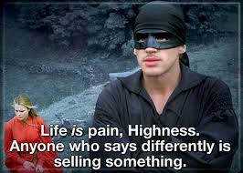 Princess Bride Life Is Pain Magnets - Game On