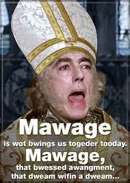 Princess Bride Mawage Magnet - Game On