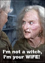 Princess Bride WIFE Magnet - Game On