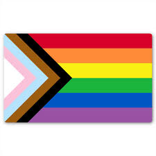 Progress Pride Flag Magnet - Game On