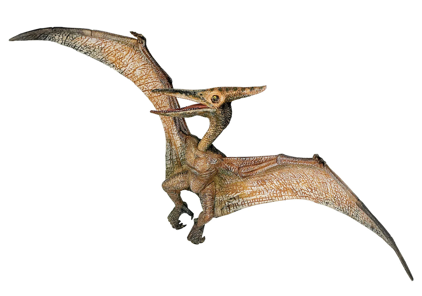 Pteranodon - Game On