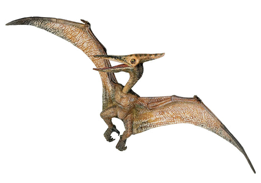 Pteranodon - Game On