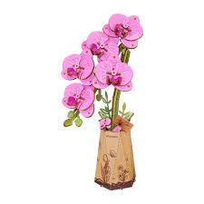 Purple Moth Orchid - Game On