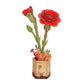 Red Carnation - Game On
