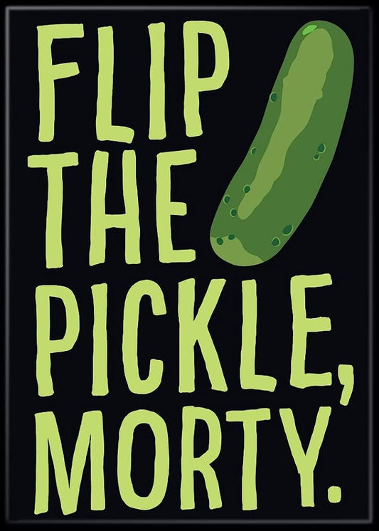 Rick And Morty Flip The Pickle Magnets - Game On