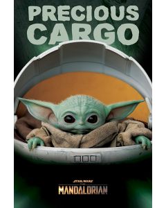 SW Mandalorian - Baby Yoda - Game On