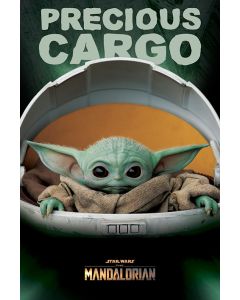SW Mandalorian - Baby Yoda - Game On