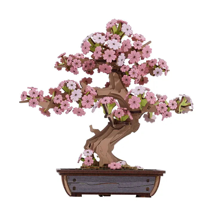Sakura Bonsai - Game On