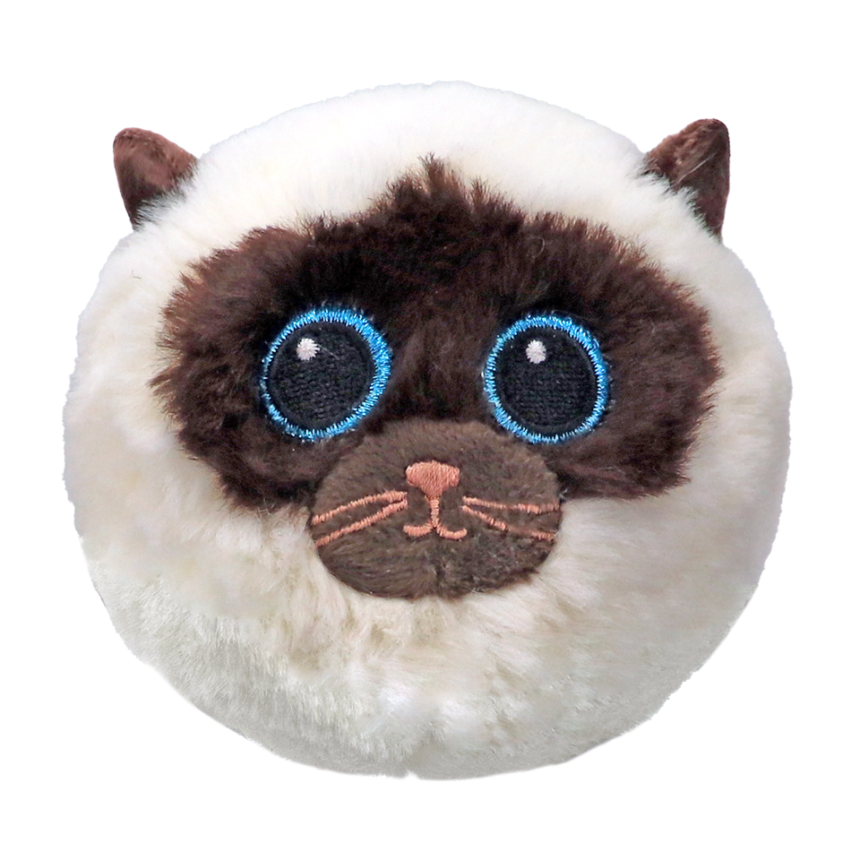 Sammy - Siamese Cream Bnce - Game On