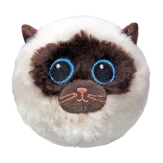 Sammy - Siamese Cream Bnce - Game On