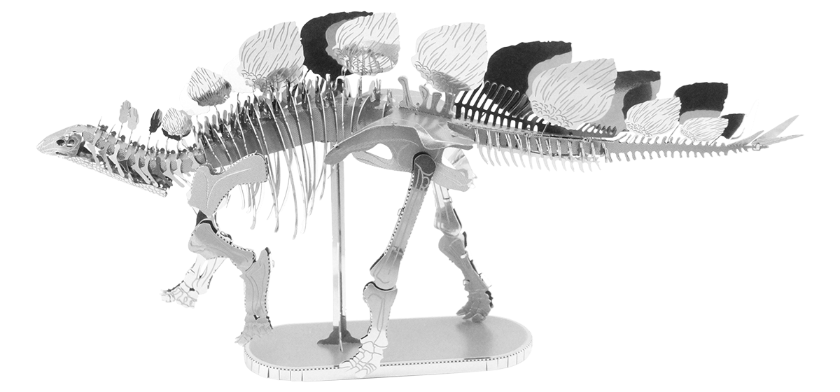 Stegosaurus Skeleton - Game On