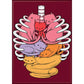 Tobe Fonseca Anatomicat Magnet - Game On