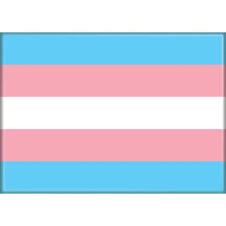 Transgender Flag Magnet - Game On