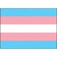 Transgender Flag Magnet - Game On
