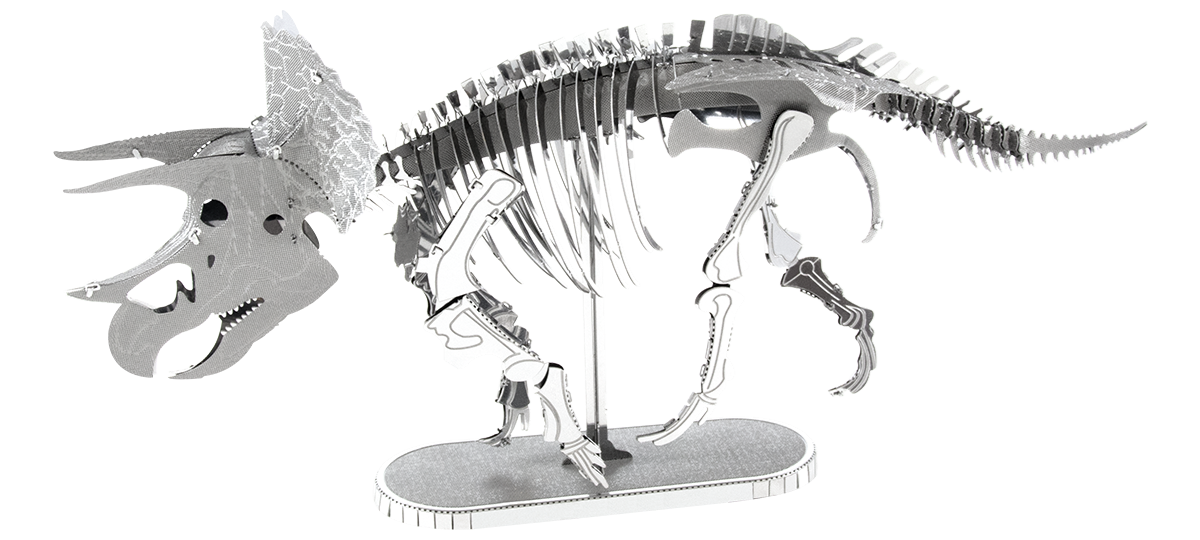 Triceratops Skeleton - Game On