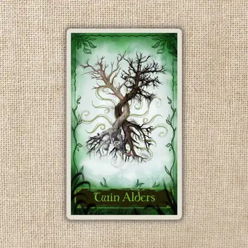 Twin Alders Card Sticker - Game On